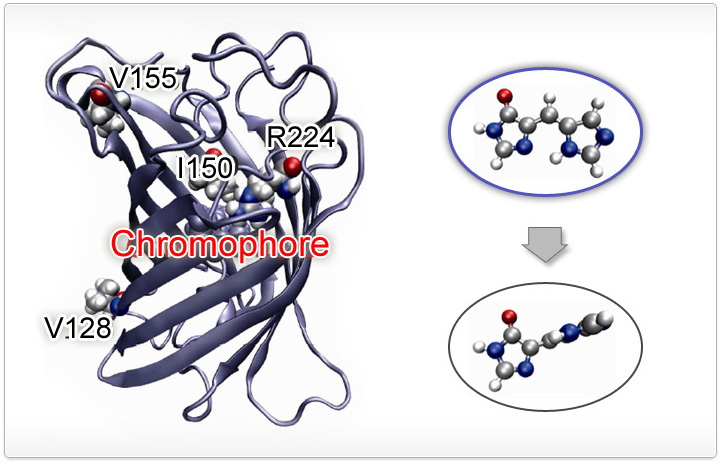 Research  Laboratory for Atomistic and Molecular Mechanics